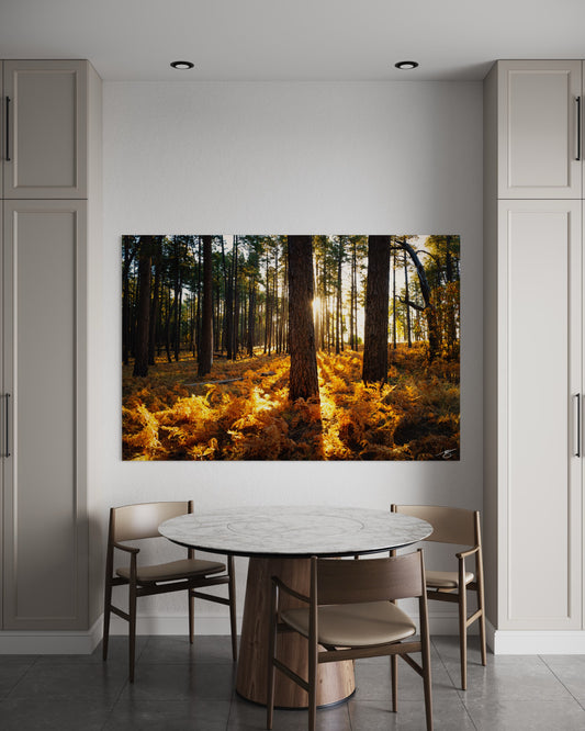 Warm sunrise light filters through tall pines and golden autumn ferns, creating a serene forest scene. A calming fine-art print for nature lovers and collectors.