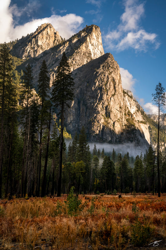 Fine art landscape of Yosemite Valley featuring towering granite spires illuminated by morning light, drifting mist among tall pines, and a textured meadow in warm autumn tones. A dramatic and atmospheric national park scene perfect for collectors.