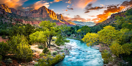 Vivid sunset panorama of Zion National Park featuring the Watchman glowing in warm light above the Virgin River, surrounded by autumn cottonwoods and dramatic clouds. A colorful fine art landscape capturing one of Utah’s most iconic views.