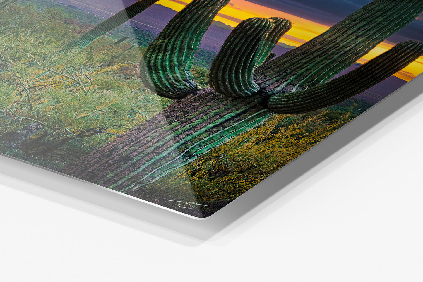 Close-up detail of the Sonoran Symphony aluminum print showing the glossy archival metal finish and rounded corner