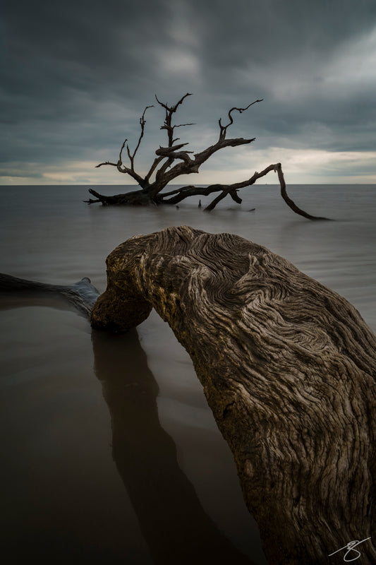 Long-exposure seascape of a weathered driftwood tree in calm water under stormy clouds, with a textured log in the foreground; vertical coastal fine art photograph