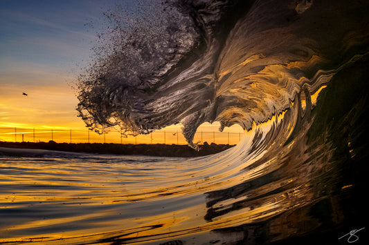 Waterline close-up of a wave curling and exploding at sunset, golden reflections on the surface with a jetty and birds silhouetted in the background