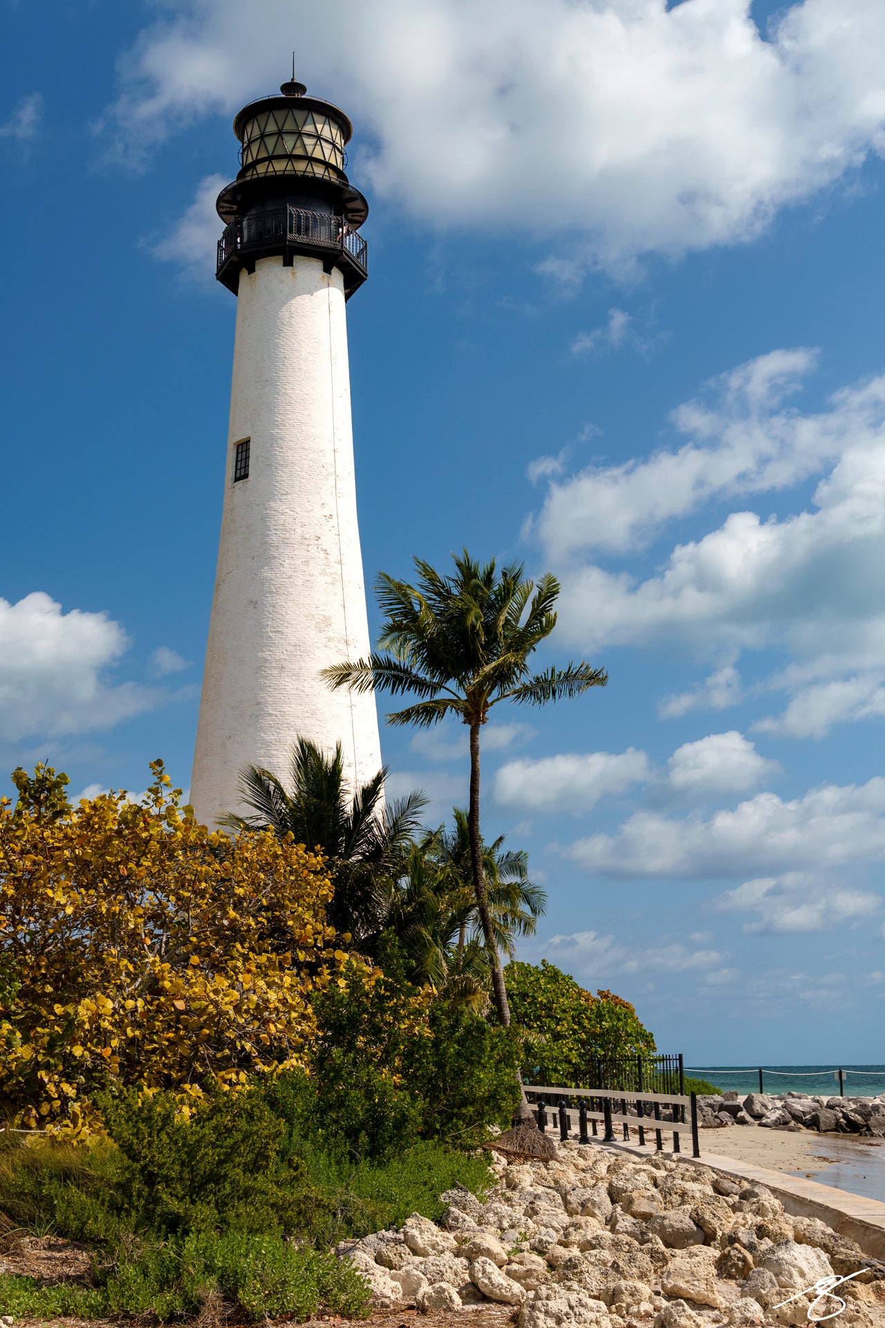 Vertical photo of a tall white lighthouse framed by palm trees and seaside foliage beside a rocky shore under a blue, cloud-filled sky