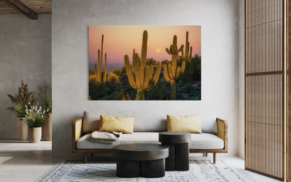 Moonset Saguaros